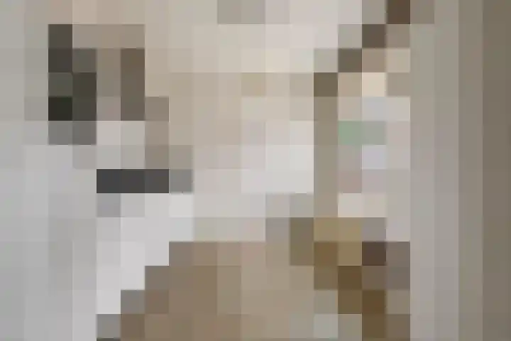 Marijkestraat 3 Druten thumbnail 10