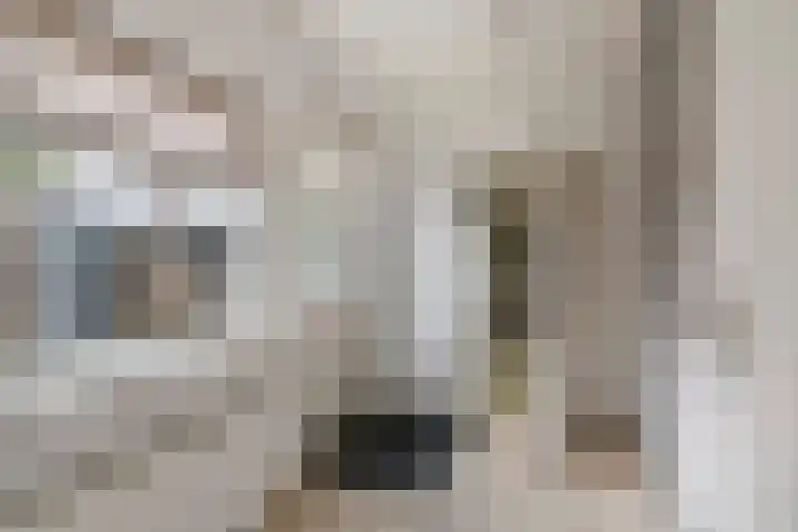 Marijkestraat 3 Druten thumbnail 11