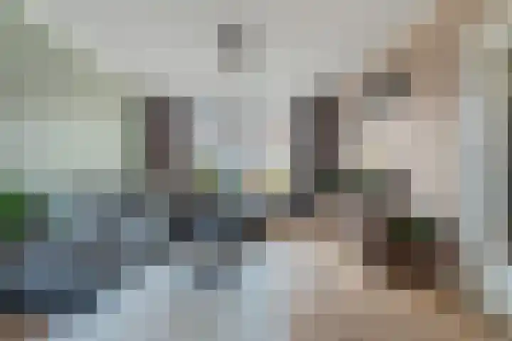 Marijkestraat 3 Wateringen thumbnail 12