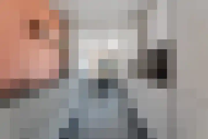 Marijkestraat 3 Wateringen thumbnail 19