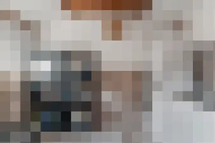 Marijkestraat 3 Wateringen thumbnail 30