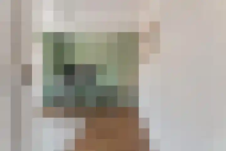 Marijkestraat 3 Wateringen thumbnail 36