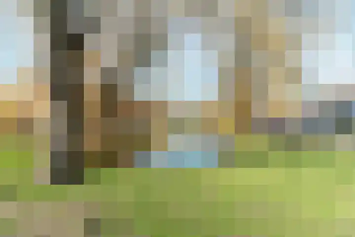 Marijkestraat 3 Wateringen thumbnail 55