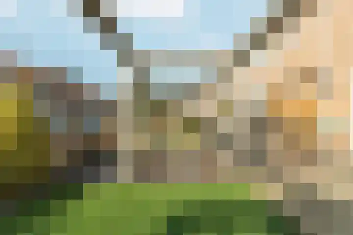 Marijkestraat 3 Wateringen thumbnail 6