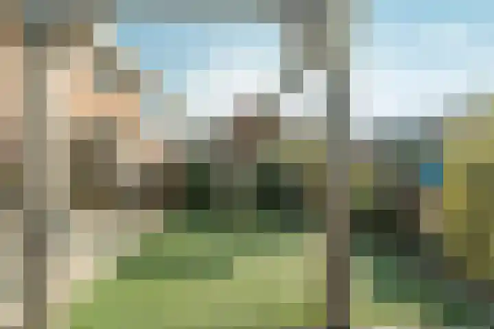 Marijkestraat 3 Wateringen thumbnail 7
