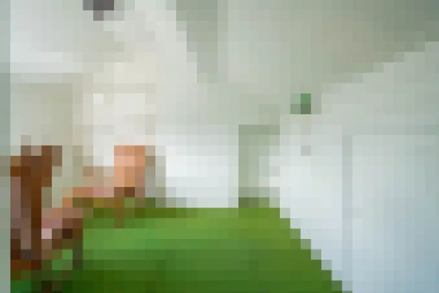 Marijkestraat 30 Bakel thumbnail 34