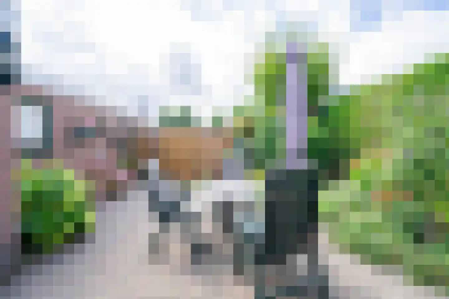 Marijkestraat 30 Bakel thumbnail 39