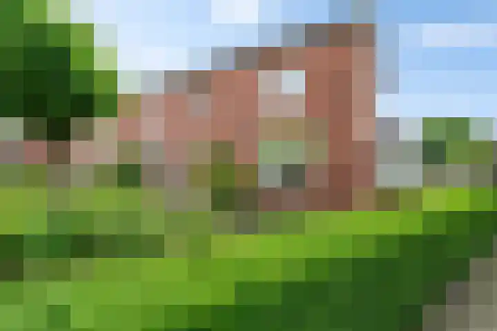 Marijkestraat 32 Delden thumbnail 36