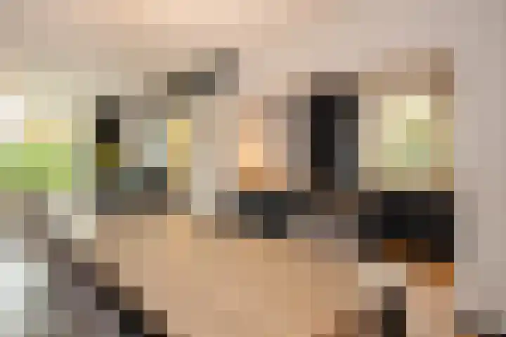 Marijkestraat 36 Son en Breugel thumbnail 10
