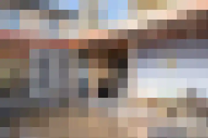 Marijkestraat 36 Son en Breugel thumbnail 24