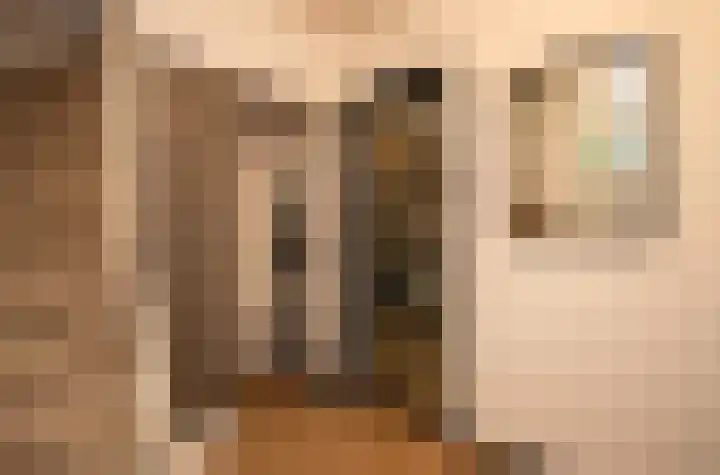 Marijkestraat 36 Son en Breugel thumbnail 4