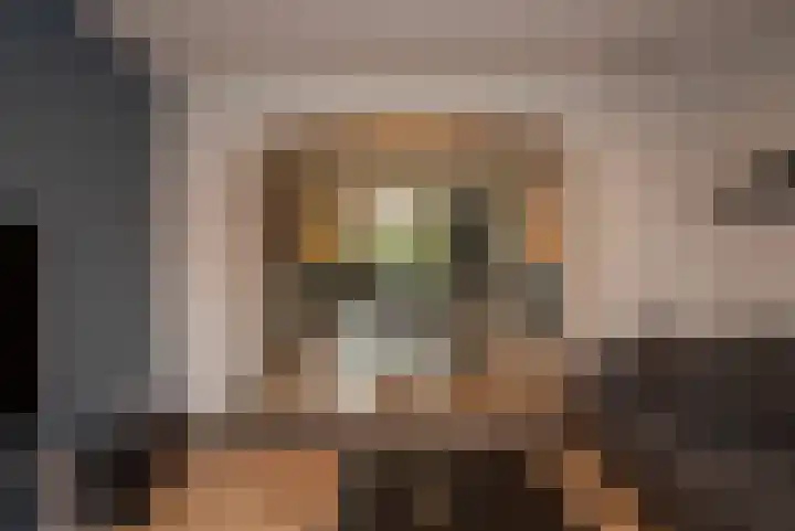 Marijkestraat 36 Son en Breugel thumbnail 8