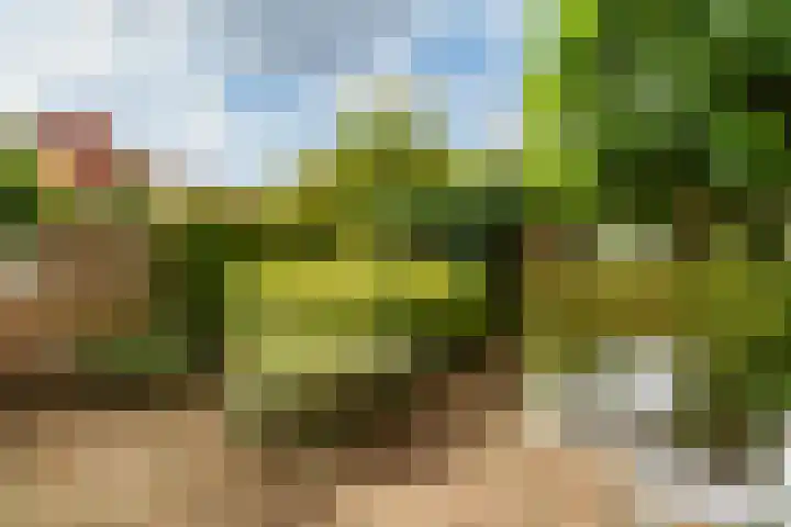 Marijkestraat 4 Wateringen thumbnail 25