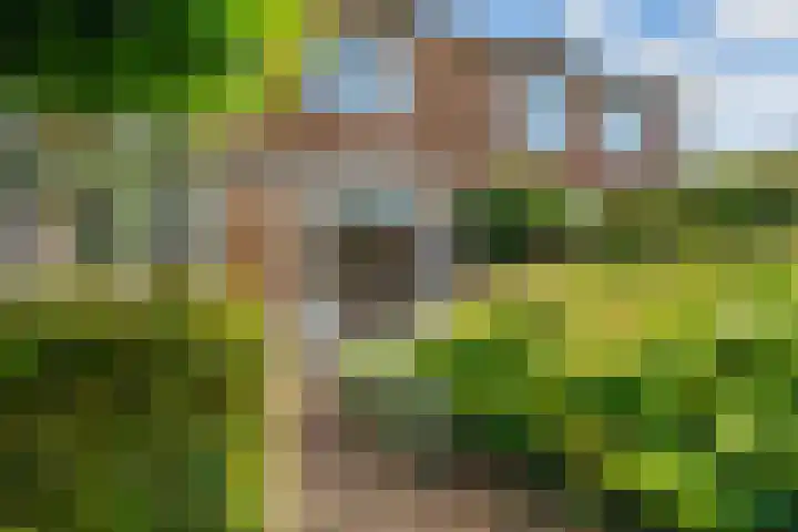 Marijkestraat 4 Wateringen thumbnail 26