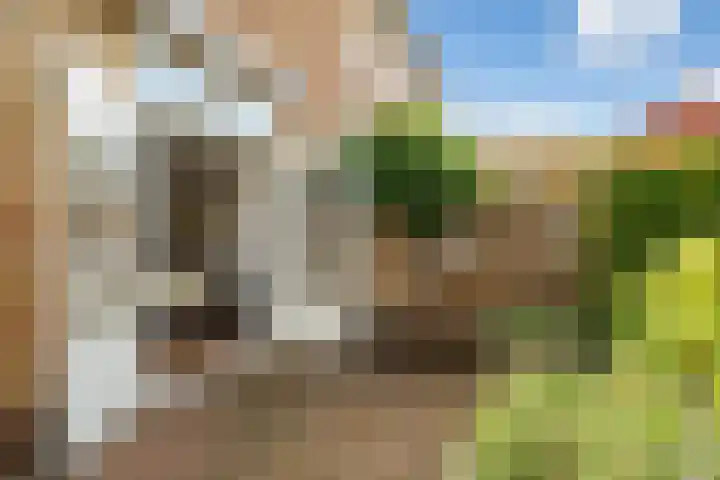 Marijkestraat 4 Wateringen thumbnail 27
