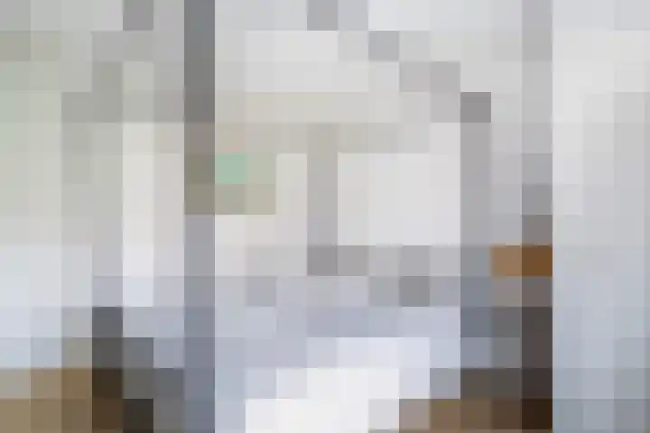 Marijkestraat 4 Wateringen thumbnail 33