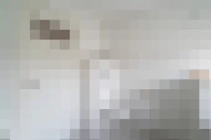 Marijkestraat 4 Wateringen thumbnail 43