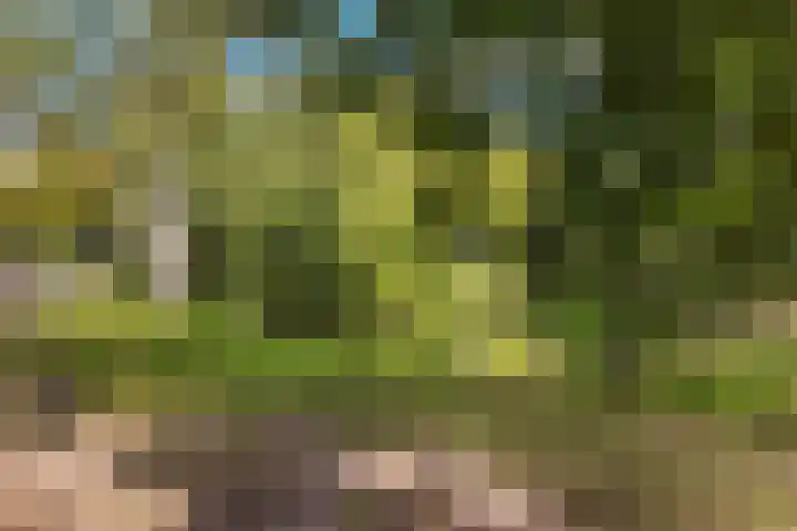 Marijkestraat 4 Wateringen thumbnail 44