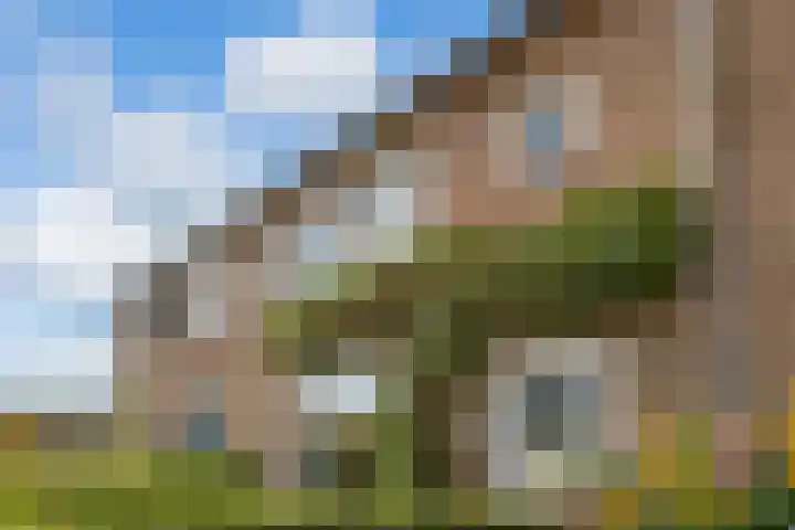 Marijkestraat 4 Wateringen thumbnail 8
