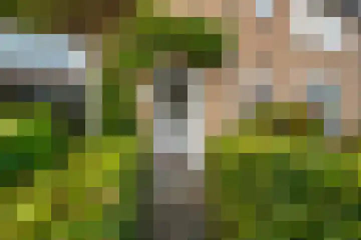Marijkestraat 4 Wateringen thumbnail 9