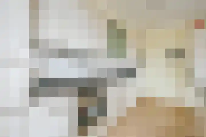 Marijkestraat 41 Schagen thumbnail 14
