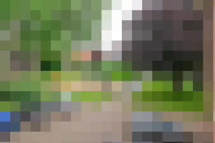 Marijkestraat 41 Schagen thumbnail 9