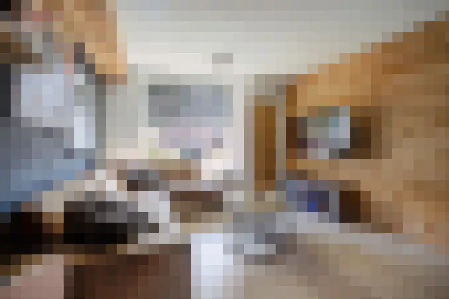 Marijkestraat 43 St. Willebrord thumbnail 10