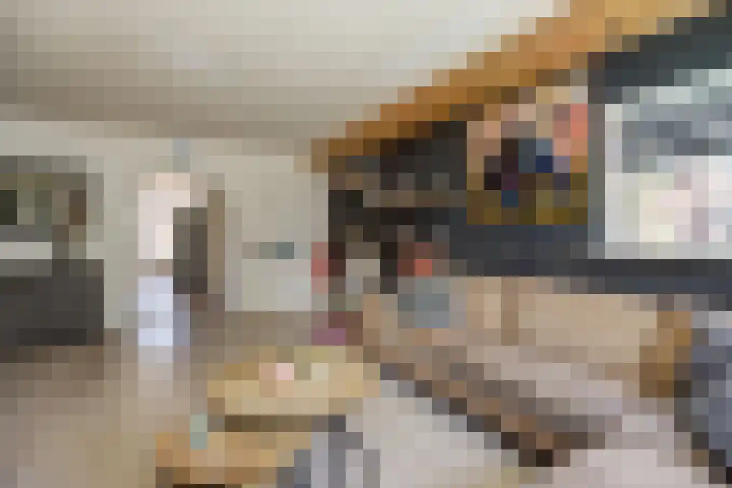 Marijkestraat 43 St. Willebrord thumbnail 11
