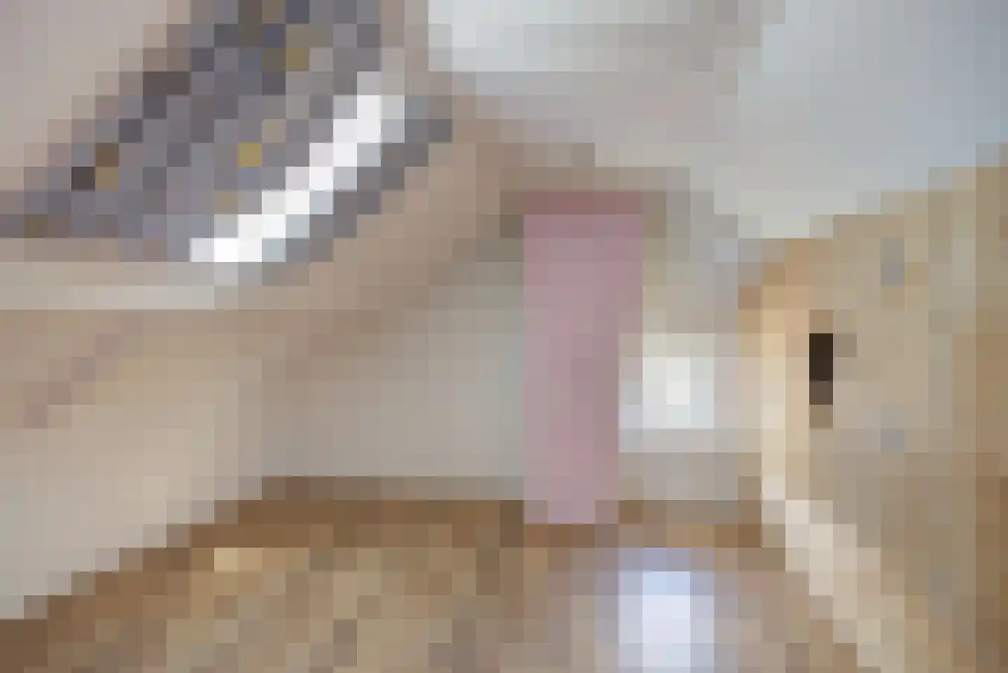 Marijkestraat 43 St. Willebrord thumbnail 28