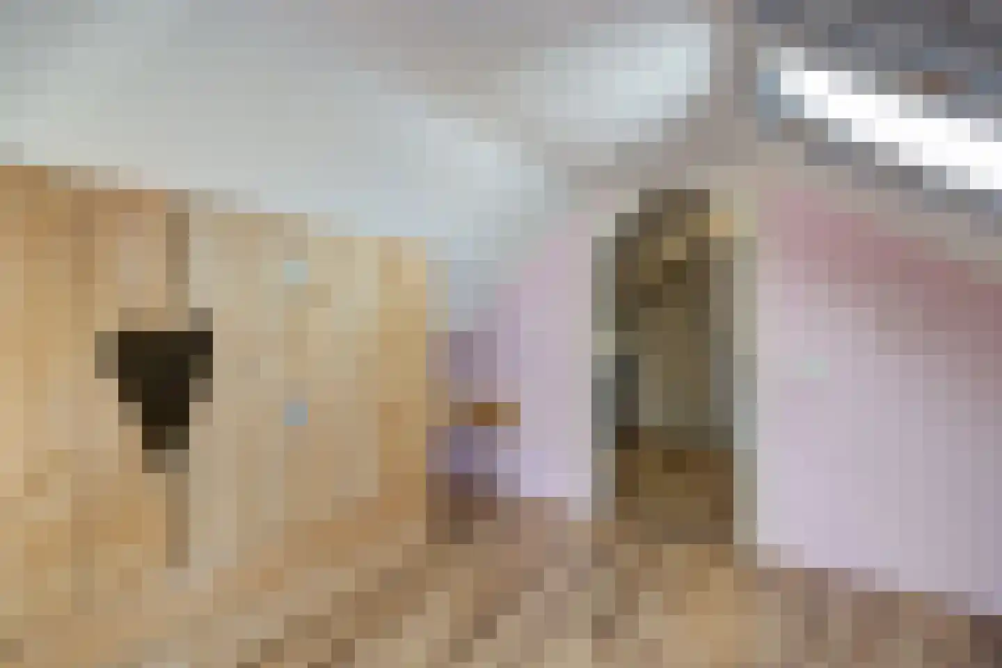 Marijkestraat 43 St. Willebrord thumbnail 29