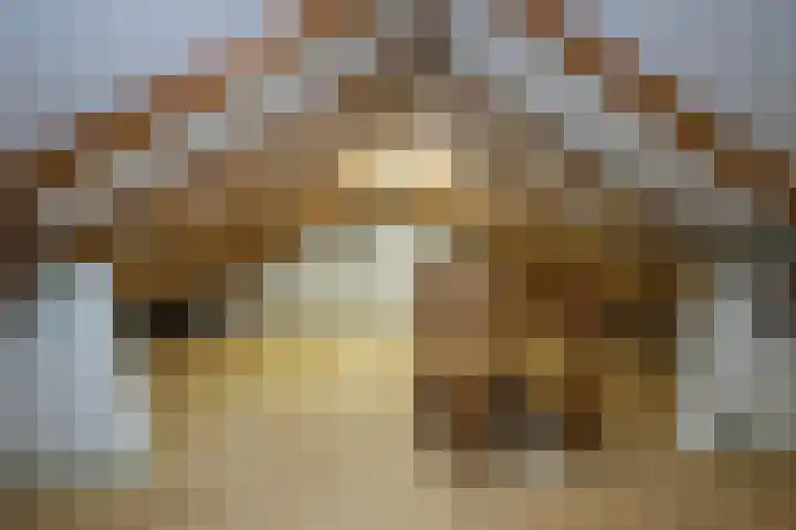 Marijkestraat 45 Delden thumbnail 27