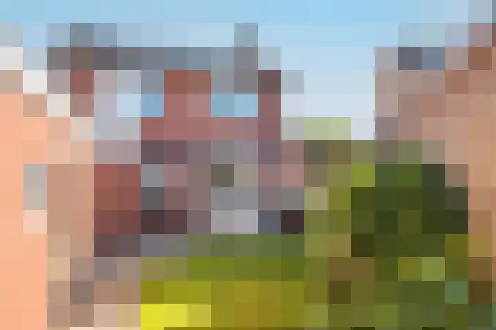 Marijkestraat 45 Delden thumbnail 4
