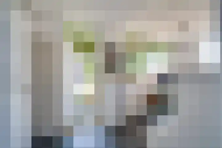 Marijkestraat 45 Landgraaf thumbnail 22