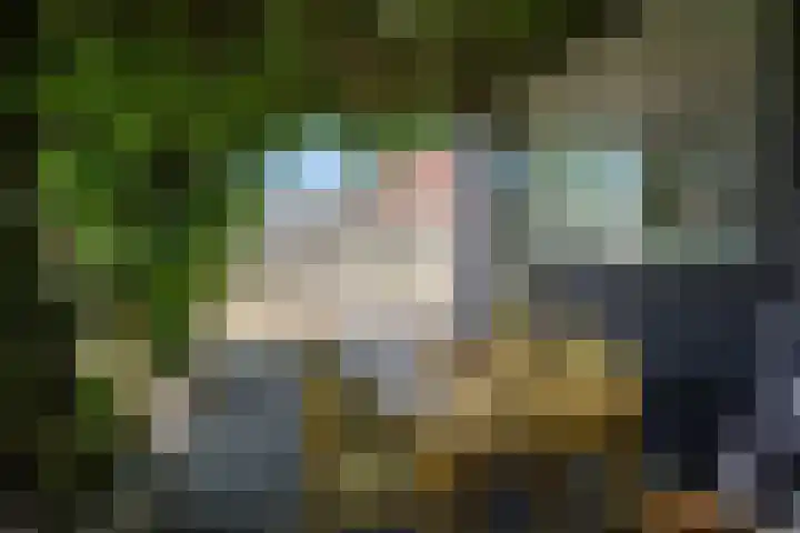 Marijkestraat 45 Landgraaf thumbnail 23