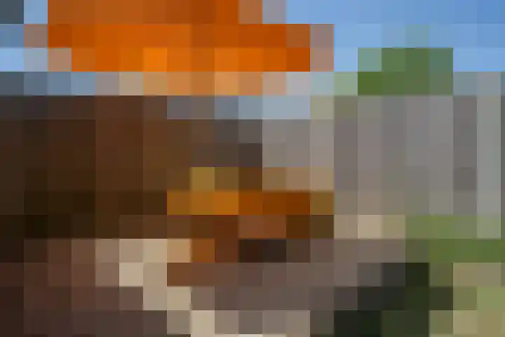 Marijkestraat 45 Landgraaf thumbnail 27