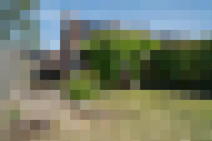 Marijkestraat 45 Landgraaf thumbnail 28