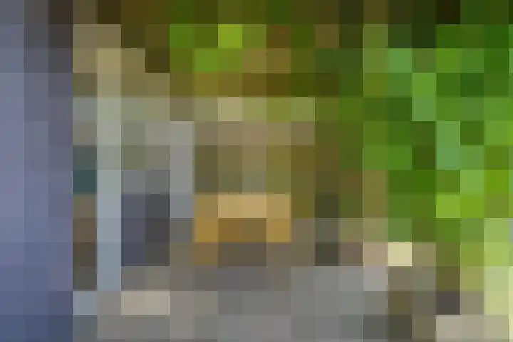 Marijkestraat 45 Landgraaf thumbnail 33