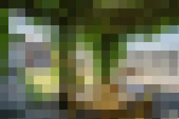 Marijkestraat 45 Landgraaf thumbnail 4