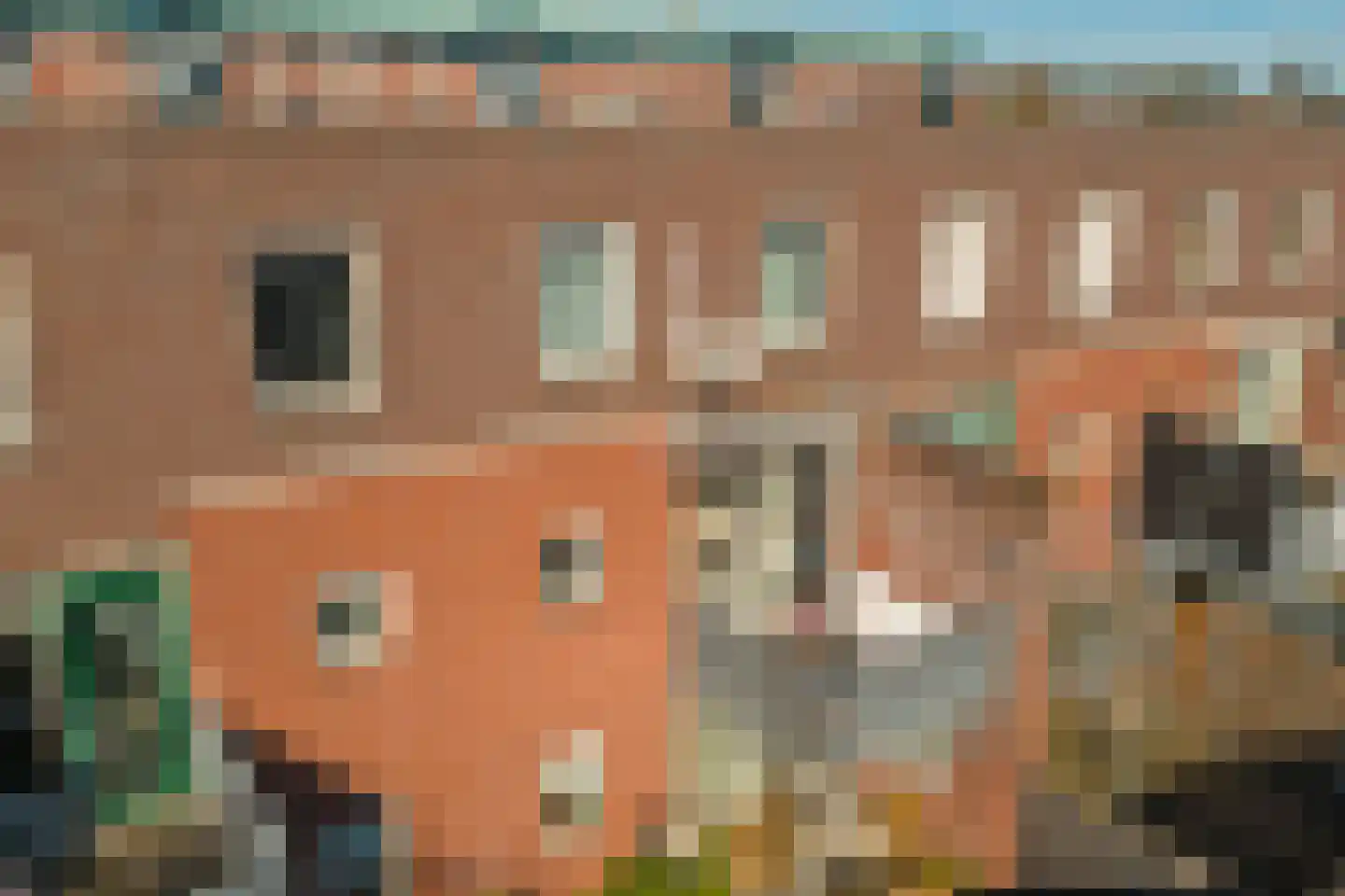 Marijkestraat 48 Waalwijk thumbnail 38
