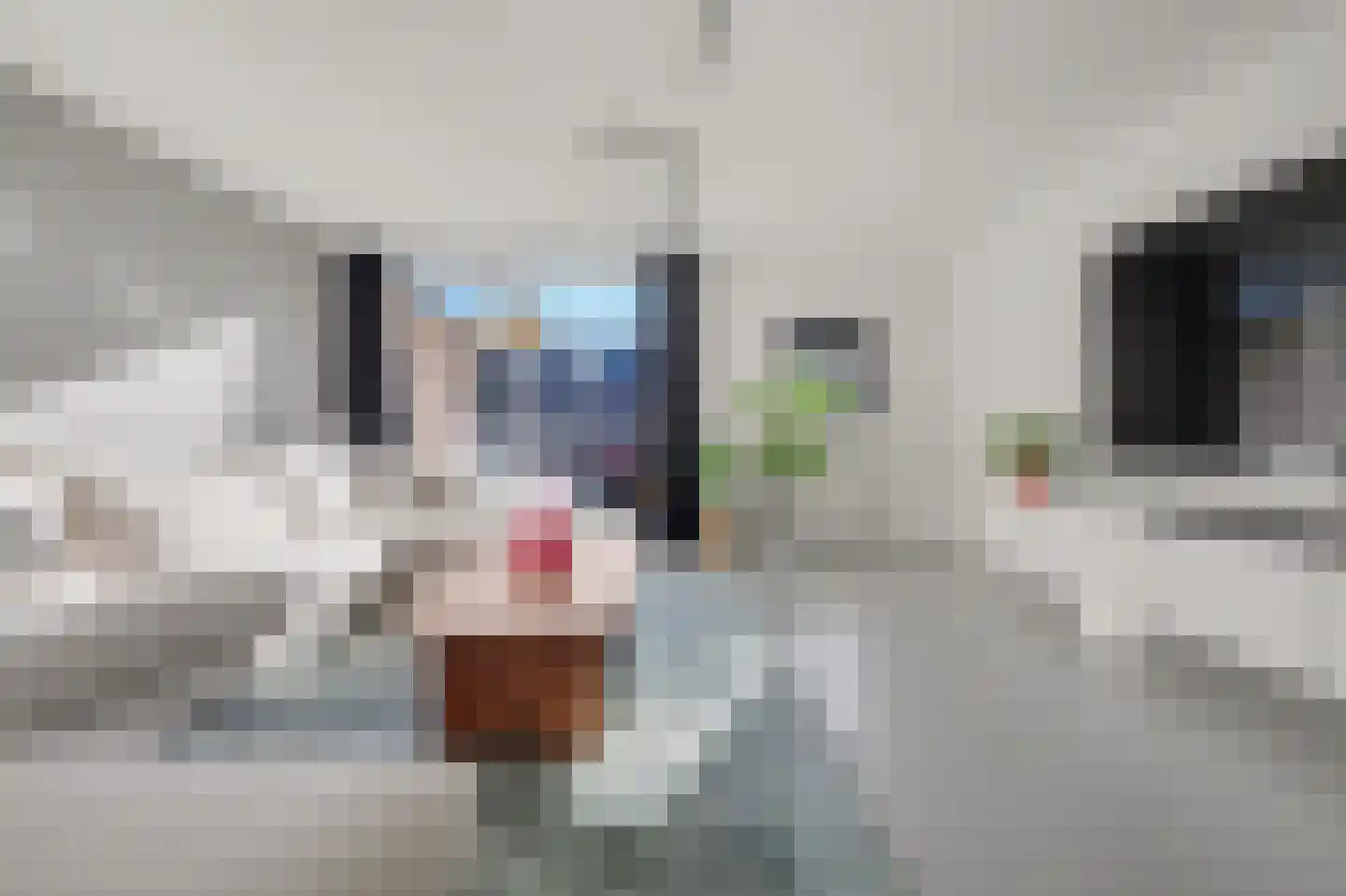 Marijkestraat 48 Waalwijk thumbnail 5