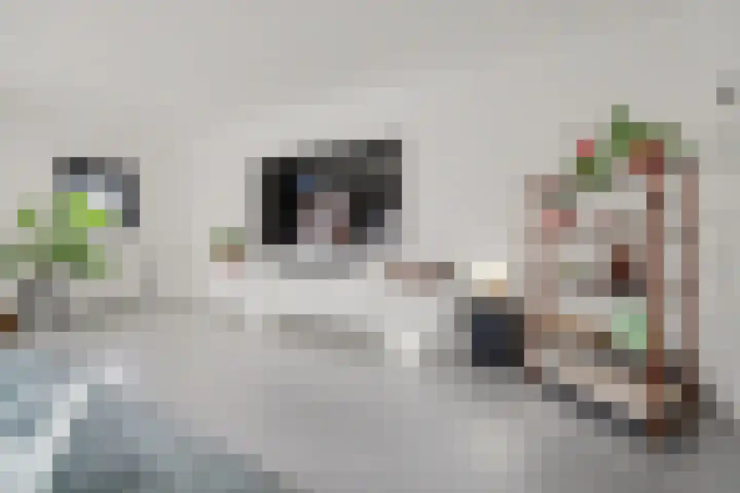 Marijkestraat 48 Waalwijk thumbnail 7