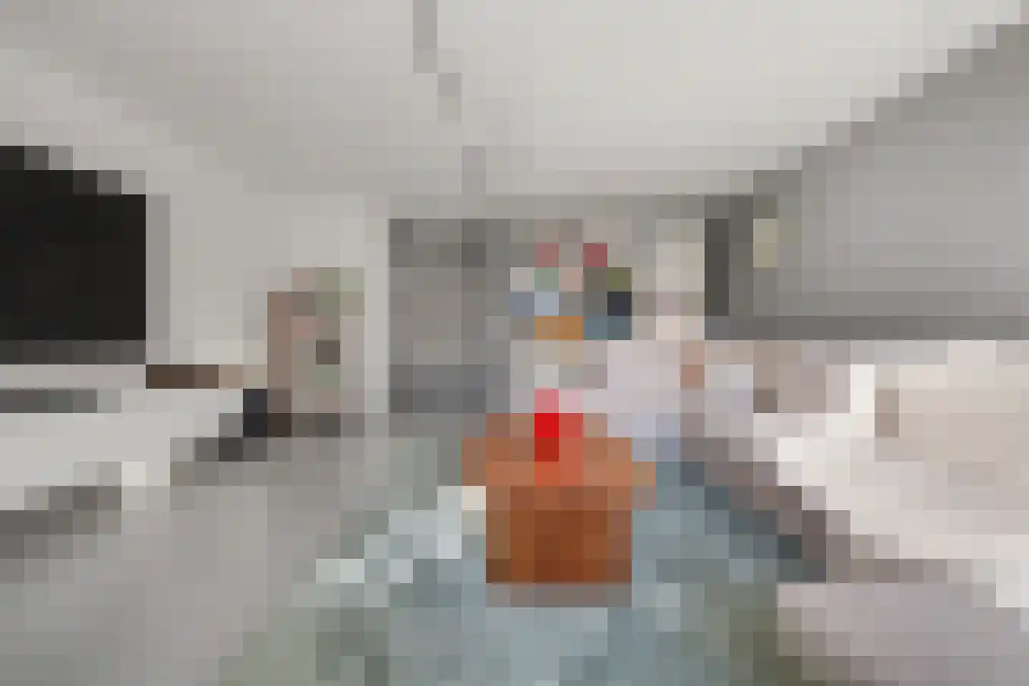 Marijkestraat 48 Waalwijk thumbnail 8