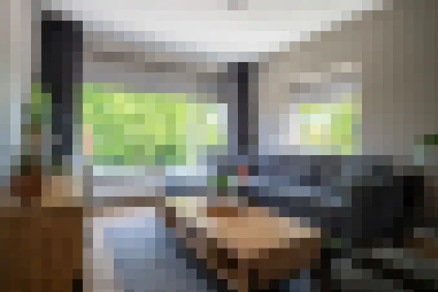 Marijkestraat 56 Zwartsluis thumbnail 14