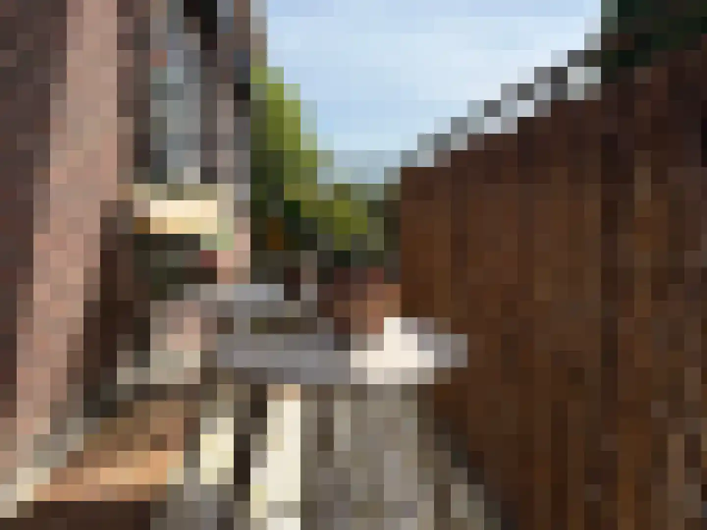 Marijkestraat 56 Zwartsluis thumbnail 24