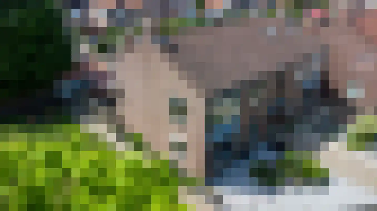 Marijkestraat 56 Zwartsluis thumbnail 5