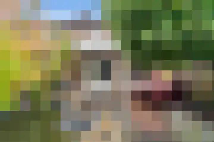 Marijkestraat 59 Landgraaf thumbnail 11
