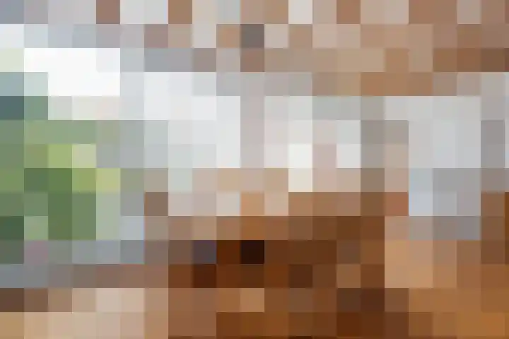 Marijkestraat 6 Beek thumbnail 13