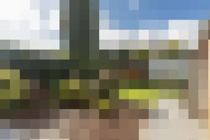 Marijkestraat 6 Beek thumbnail 29