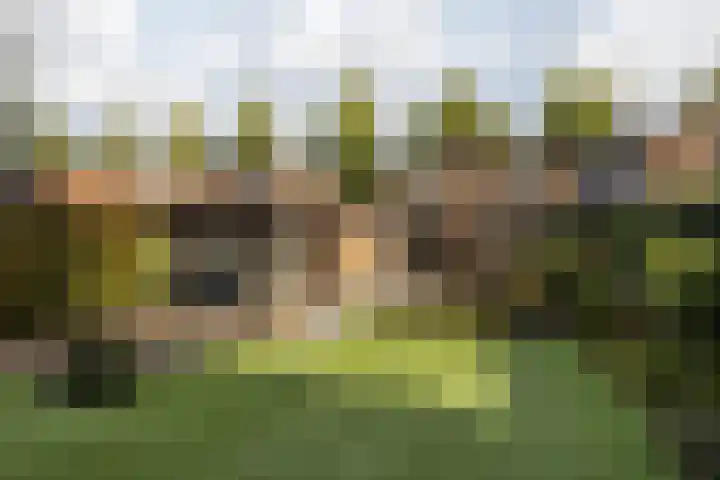 Marijkestraat 6 Beek thumbnail 32