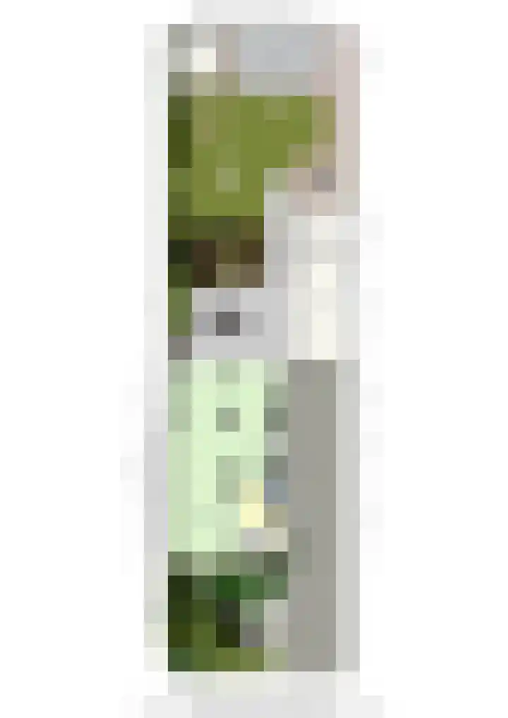 Marijkestraat 6 Beek thumbnail 38